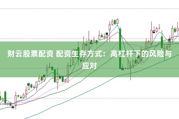 财云股票配资 配资生存方式：高杠杆下的风险与应对