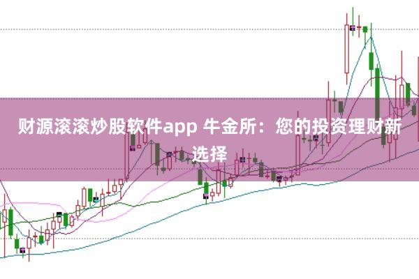 财源滚滚炒股软件app 牛金所：您的投资理财新选择