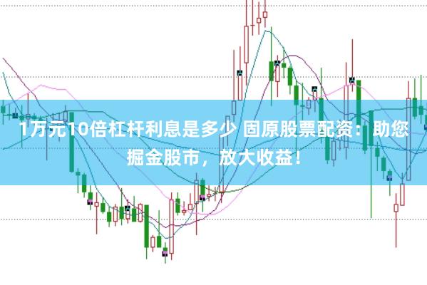 1万元10倍杠杆利息是多少 固原股票配资：助您掘金股市，放大收益！