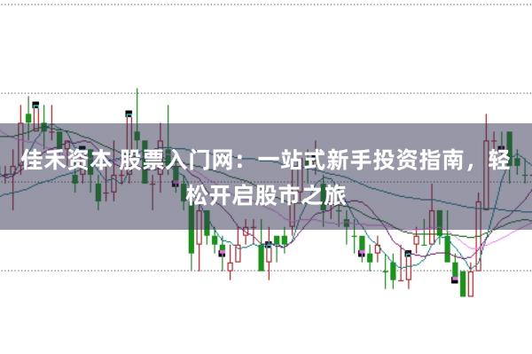 佳禾资本 股票入门网：一站式新手投资指南，轻松开启股市之旅