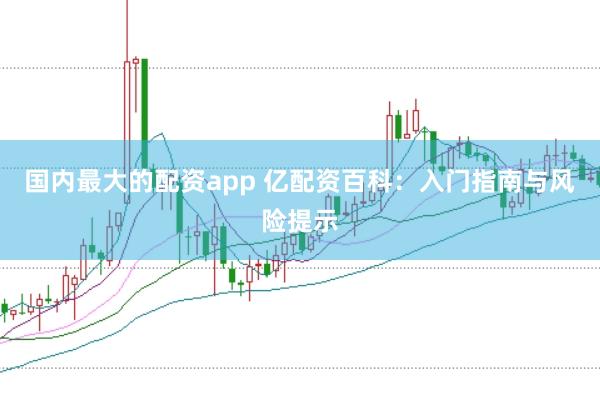 国内最大的配资app 亿配资百科：入门指南与风险提示