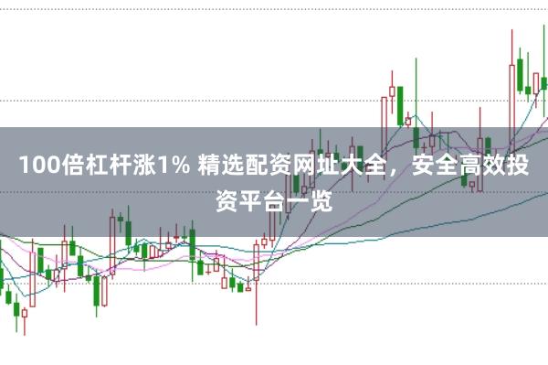 100倍杠杆涨1% 精选配资网址大全，安全高效投资平台一览