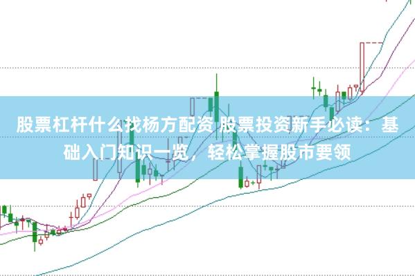 股票杠杆什么找杨方配资 股票投资新手必读：基础入门知识一览，轻松掌握股市要领