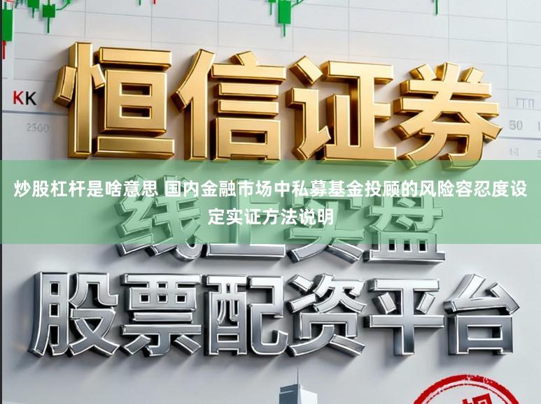 炒股杠杆是啥意思 国内金融市场中私募基金投顾的风险容忍度设定实证方法说明