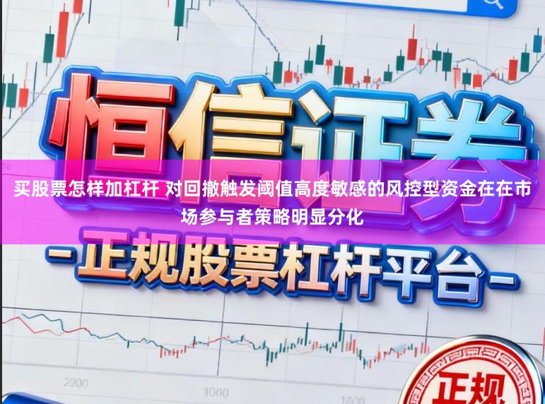 买股票怎样加杠杆 对回撤触发阈值高度敏感的风控型资金在在市场参与者策略明显分化